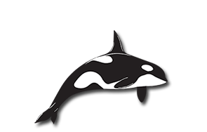 aquitaine froid charente